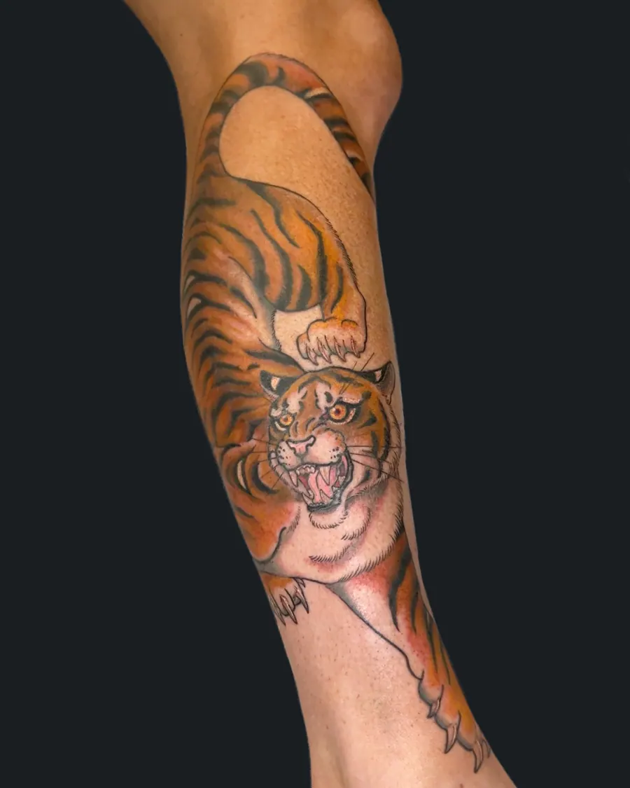 Neotraditional tiger tattoo prowling down the forearm to the wrist by English Cousins, Nashville